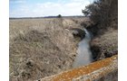 Property photo 37 - 127 Acres Offered in 4 Tracts